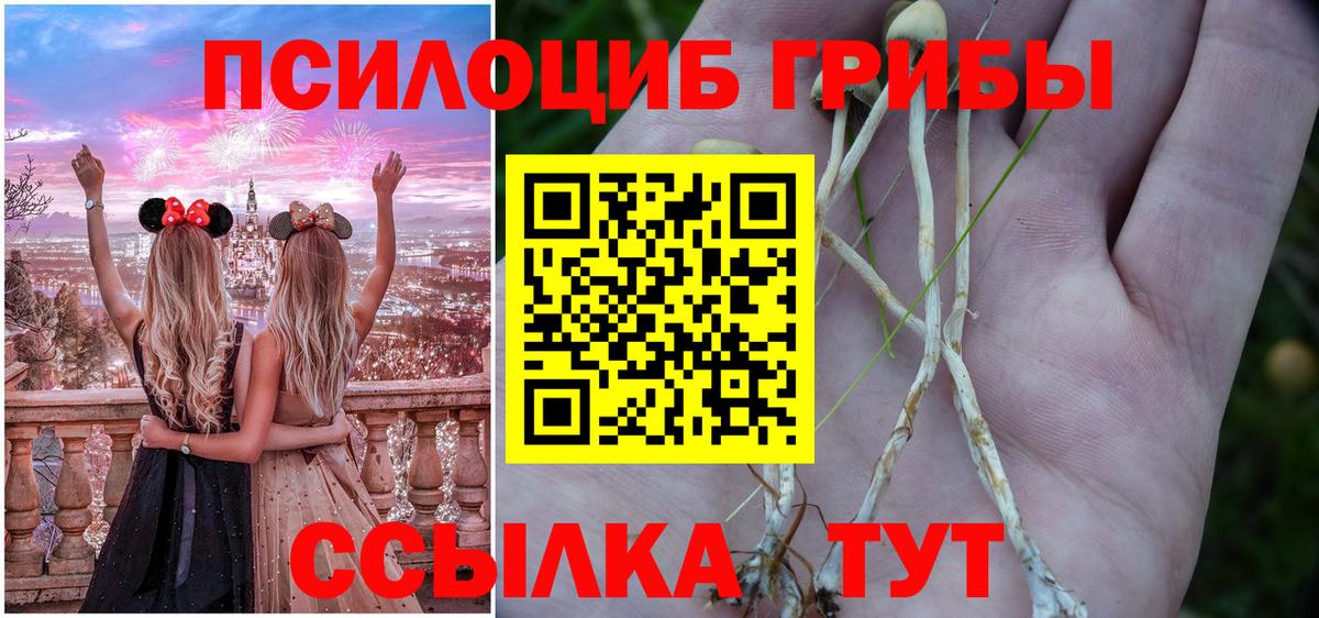 Псилоцибиновые грибы Psilocybine cubensis  Вход с VPN  наркота  Воткинск 